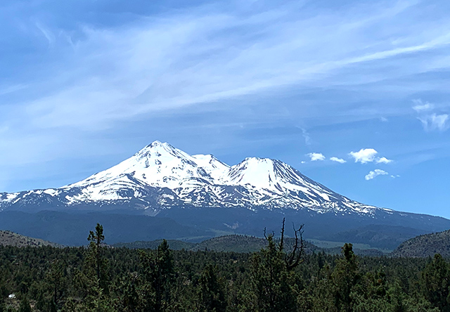 shasta01.jpg